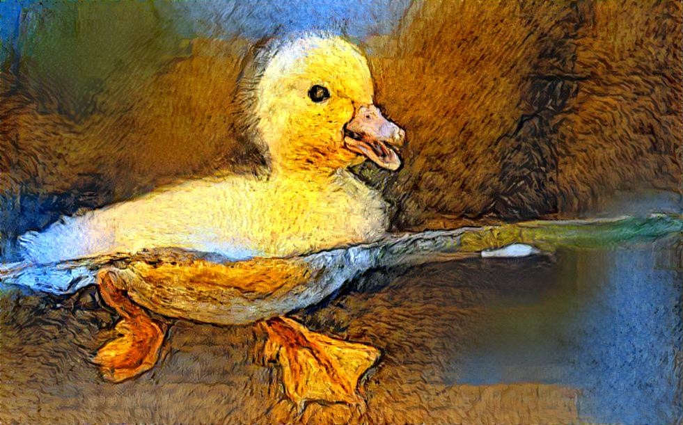 Ducky Duck 2