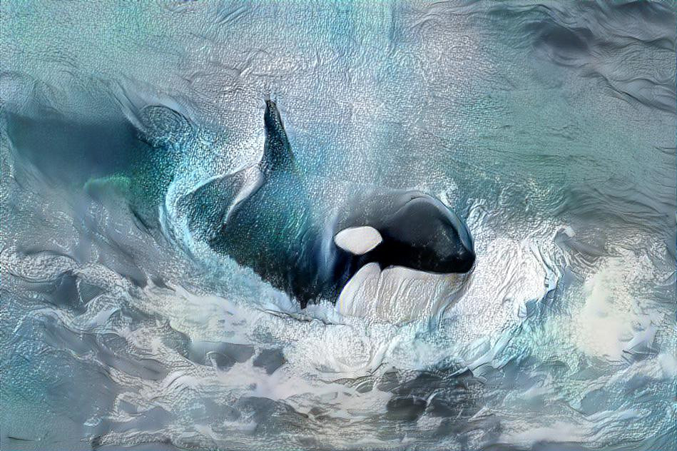 orca