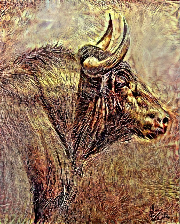 Taurus