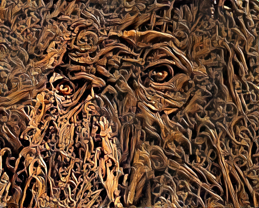 Treebeard Carving