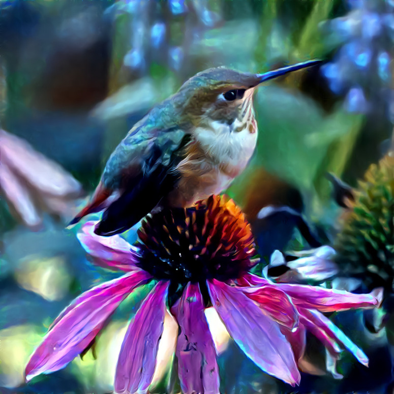 Hummingbird On A Coneflower ver 1