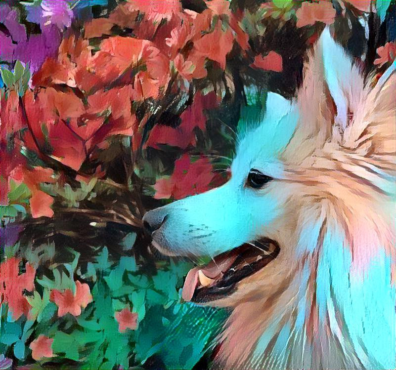 flower dog