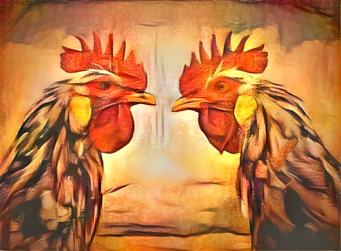 Roosters