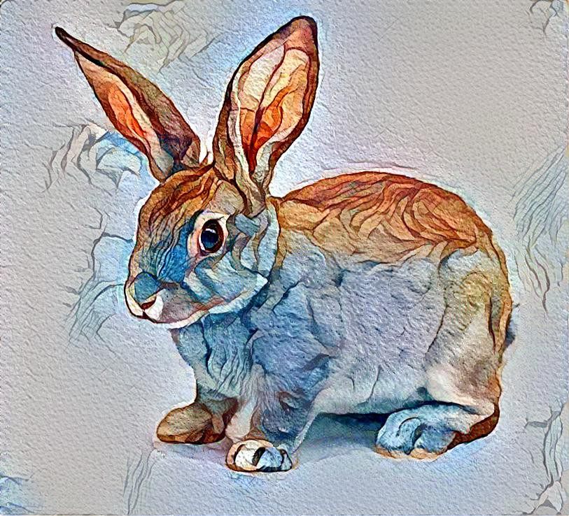 Bunny