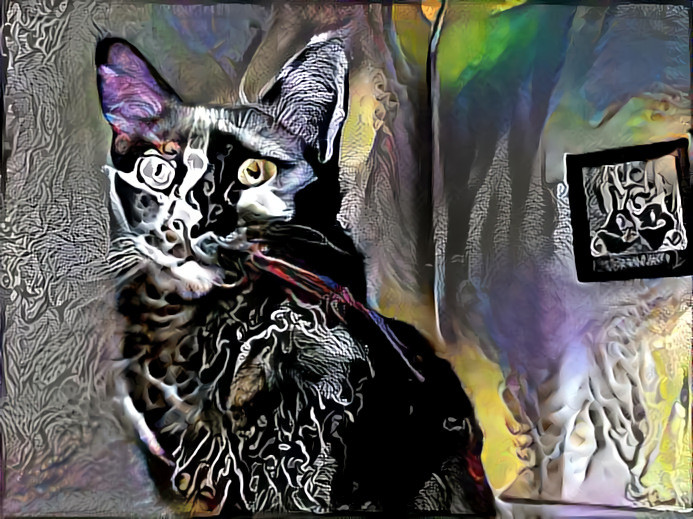 Another Dreamception. Artception too, I suppose. A twice dreamed photo of our kitty mixed with styles made of my art & other dreams. Boom Shanka!