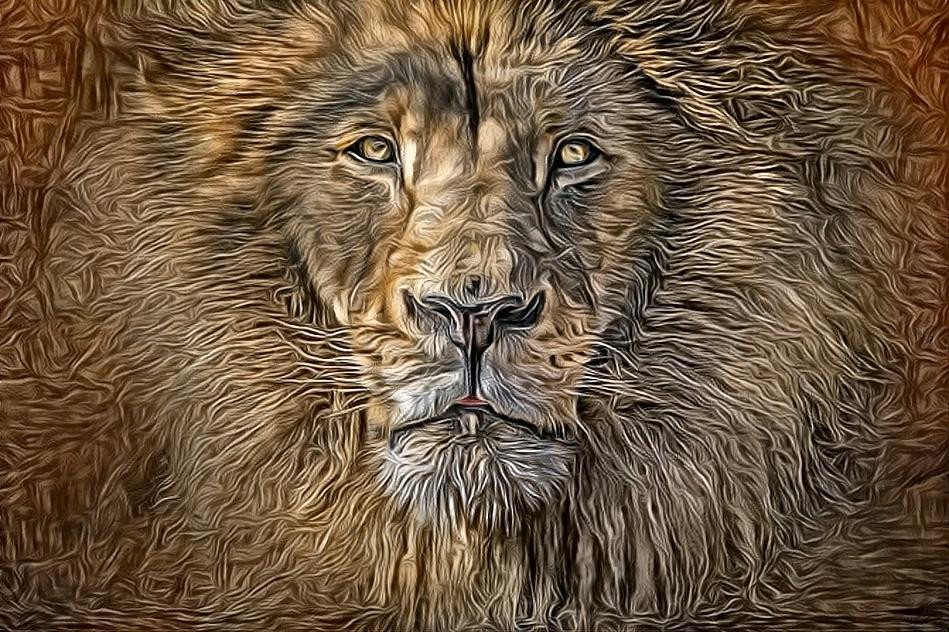 Deep Dream: Lion (Ver.5)