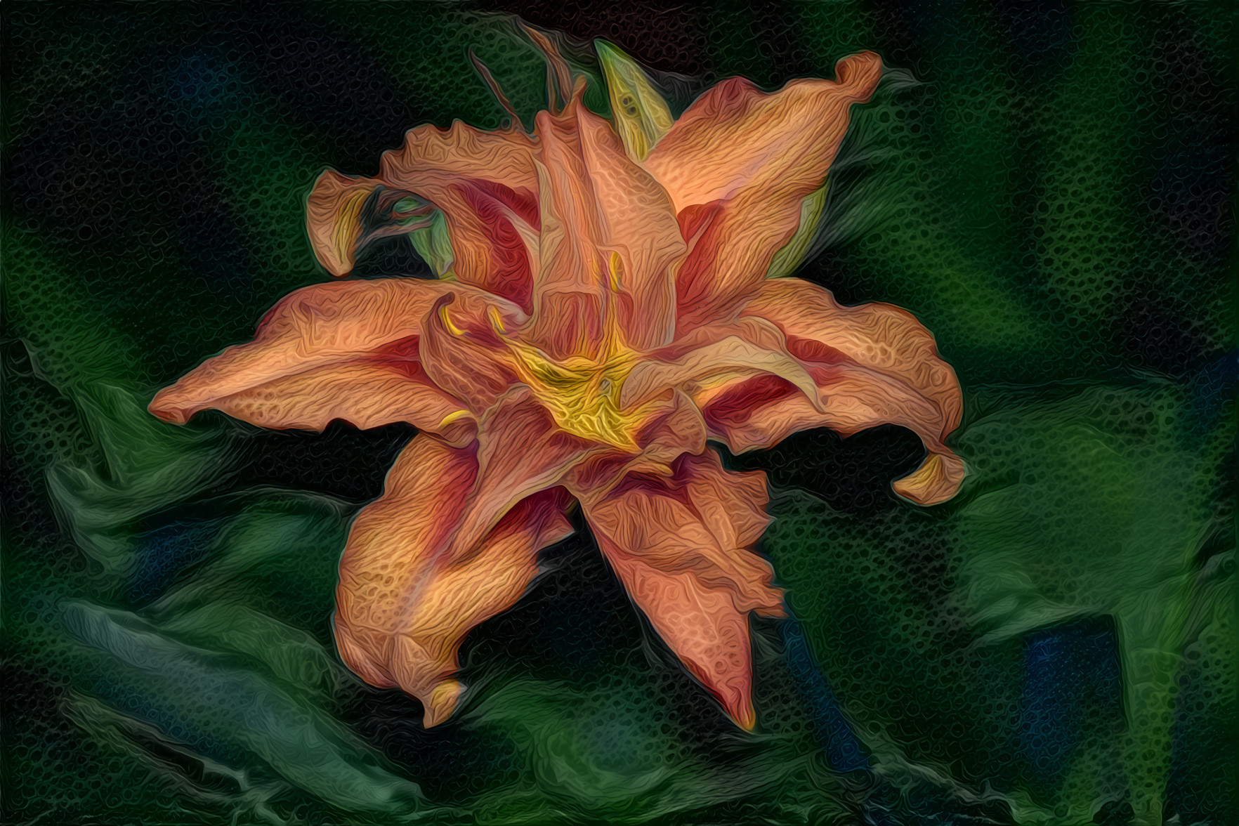 Peach Yellow Lily