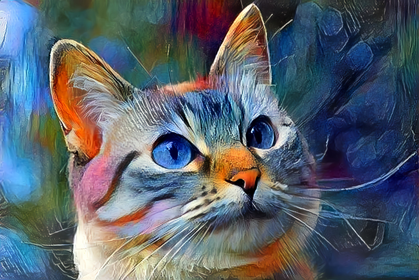 Cat portrait