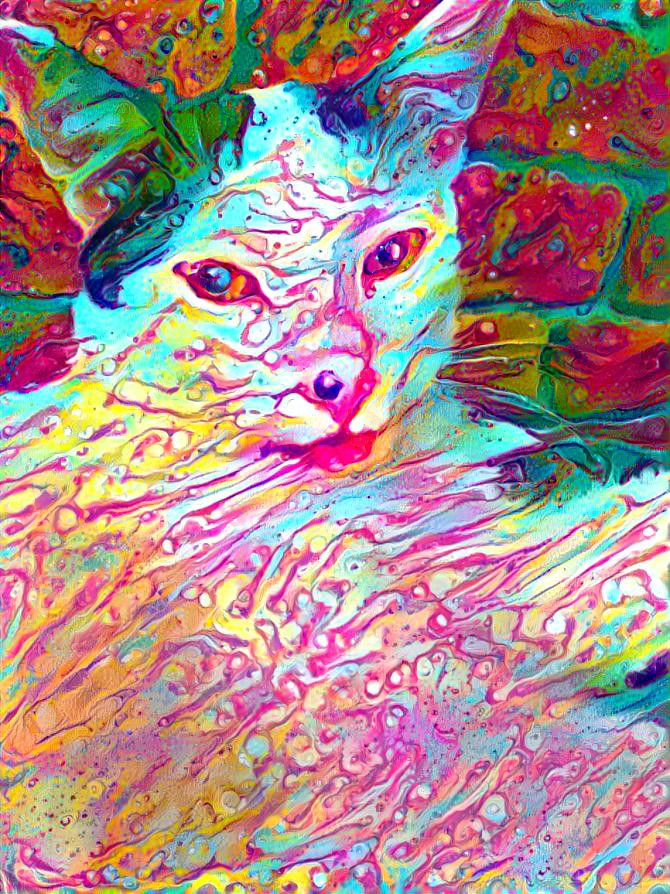 Hallucination Cat